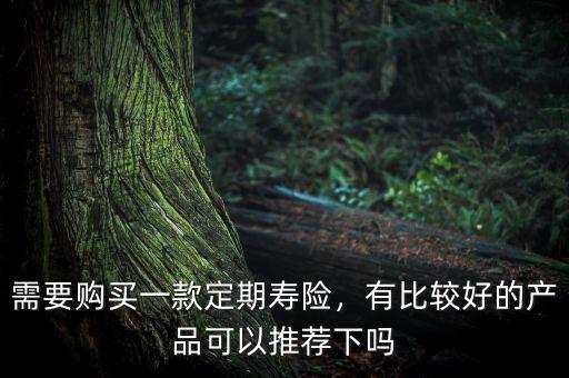 需要購買一款定期壽險，有比較好的產(chǎn)品可以推薦下嗎