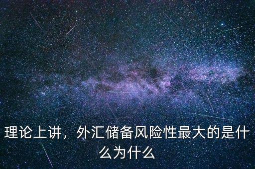 理論上講，外匯儲(chǔ)備風(fēng)險(xiǎn)性最大的是什么為什么