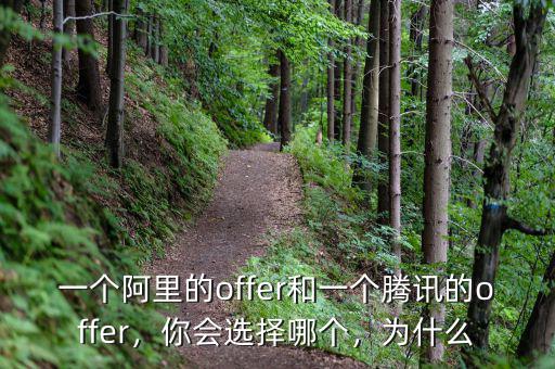 一個(gè)阿里的offer和一個(gè)騰訊的offer，你會(huì)選擇哪個(gè)，為什么