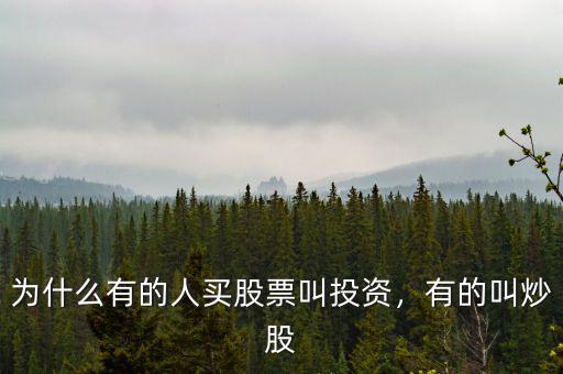 為什么有的人買(mǎi)股票叫投資，有的叫炒股