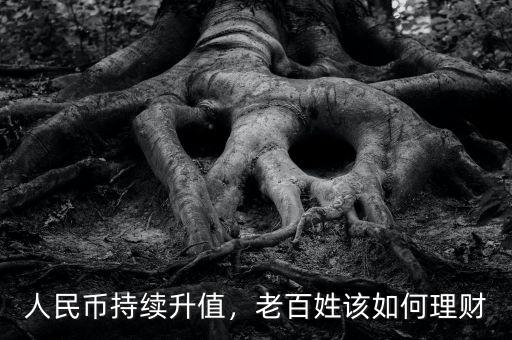 人民幣持續(xù)升值，老百姓該如何理財