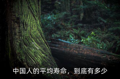 中國人的平均壽命，到底有多少