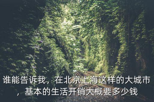 誰(shuí)能告訴我，在北京上海這樣的大城市，基本的生活開銷大概要多少錢