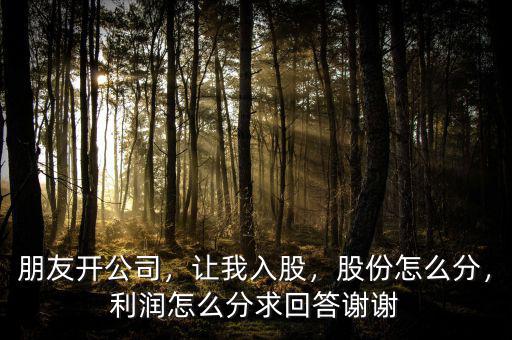 朋友開公司，讓我入股，股份怎么分，利潤怎么分求回答謝謝