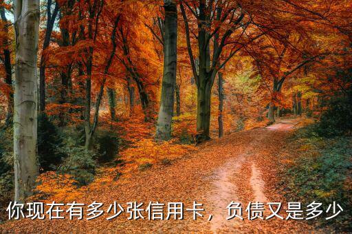 你現(xiàn)在有多少?gòu)埿庞每?，?fù)債又是多少