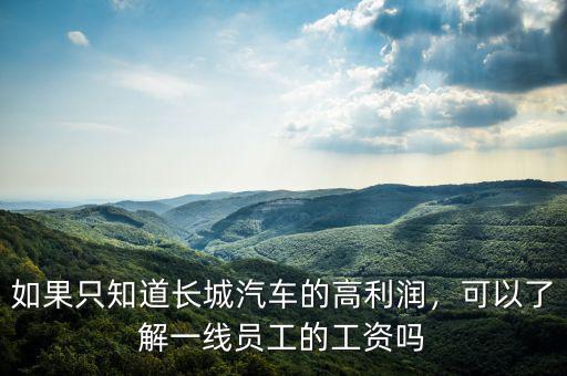 如果只知道長城汽車的高利潤，可以了解一線員工的工資嗎