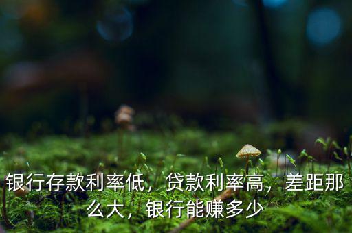銀行存款利率低，貸款利率高，差距那么大，銀行能賺多少