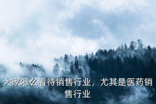 大家怎么看待銷售行業(yè)，尤其是醫(yī)藥銷售行業(yè)