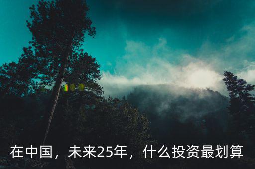 在中國(guó)，未來(lái)25年，什么投資最劃算