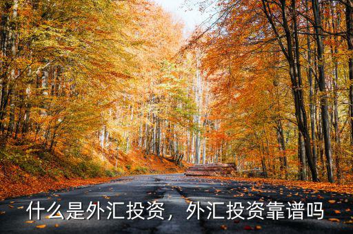 什么是外匯投資，外匯投資靠譜嗎