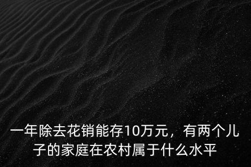 一年除去花銷能存10萬元，有兩個兒子的家庭在農(nóng)村屬于什么水平