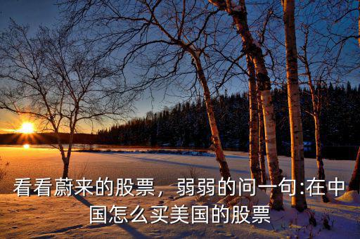 看看蔚來(lái)的股票，弱弱的問(wèn)一句:在中國(guó)怎么買(mǎi)美國(guó)的股票