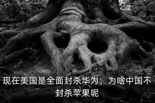 現(xiàn)在美國是全面封殺華為，為啥中國不封殺蘋果呢