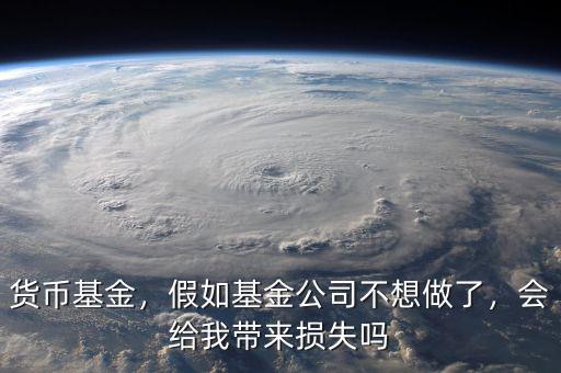 貨幣基金，假如基金公司不想做了，會(huì)給我?guī)?lái)?yè)p失嗎
