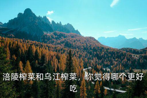 涪陵榨菜和烏江榨菜，你覺得哪個(gè)更好吃