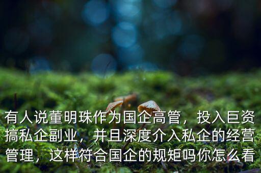 有人說(shuō)董明珠作為國(guó)企高管，投入巨資搞私企副業(yè)，并且深度介入私企的經(jīng)營(yíng)管理，這樣符合國(guó)企的規(guī)矩嗎你怎么看