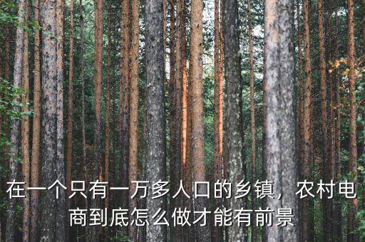 在一個(gè)只有一萬多人口的鄉(xiāng)鎮(zhèn)，農(nóng)村電商到底怎么做才能有前景