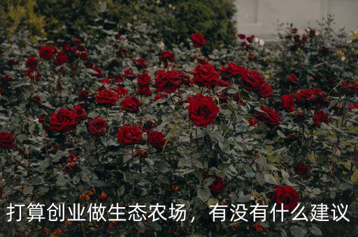 打算創(chuàng)業(yè)做生態(tài)農(nóng)場(chǎng)，有沒有什么建議