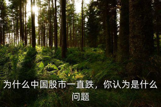 為什么中國(guó)股市一直跌，你認(rèn)為是什么問題