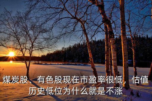 煤炭股、有色股現(xiàn)在市盈率很低，估值歷史低位為什么就是不漲