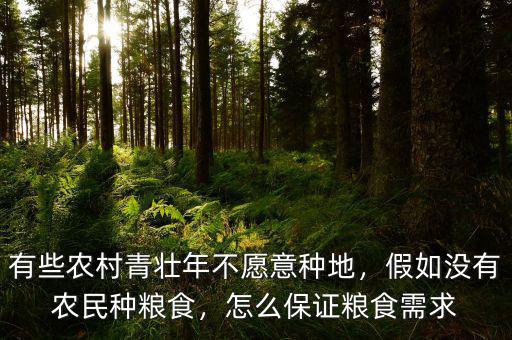 有些農(nóng)村青壯年不愿意種地，假如沒有農(nóng)民種糧食，怎么保證糧食需求