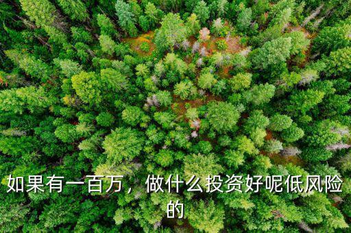 如果有一百萬，做什么投資好呢低風(fēng)險(xiǎn)的