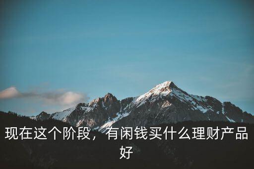 現(xiàn)在這個(gè)階段，有閑錢買什么理財(cái)產(chǎn)品好