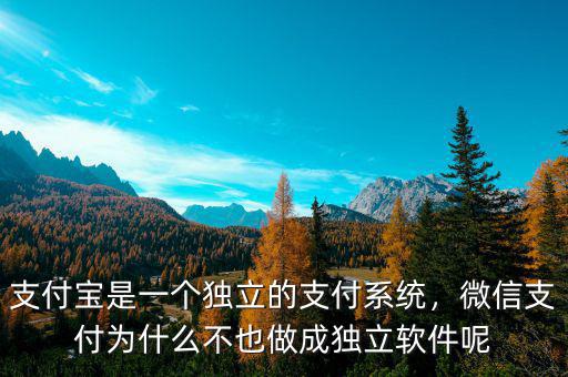支付寶是一個獨立的支付系統(tǒng)，微信支付為什么不也做成獨立軟件呢