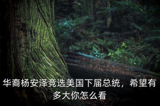 華裔楊安澤競(jìng)選美國(guó)下屆總統(tǒng)，希望有多大你怎么看