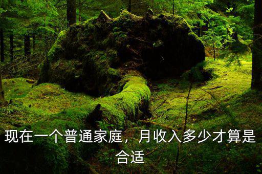 現(xiàn)在一個(gè)普通家庭，月收入多少才算是合適