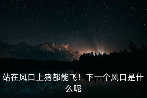 站在風口上豬都能飛！下一個風口是什么呢