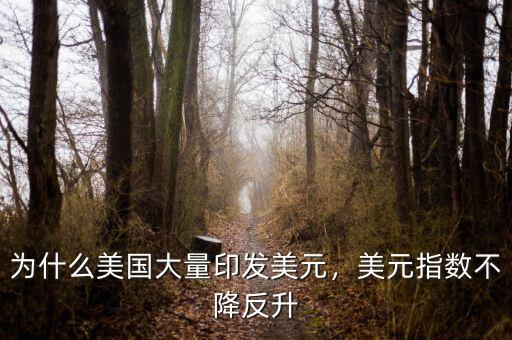 為什么美國(guó)大量印發(fā)美元，美元指數(shù)不降反升