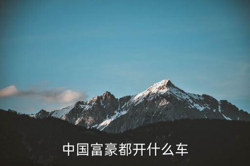 中國(guó)富豪都開(kāi)什么車
