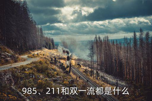985、211和雙一流都是什么