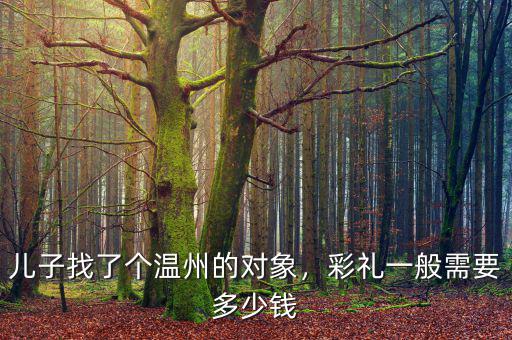 兒子找了個(gè)溫州的對(duì)象，彩禮一般需要多少錢