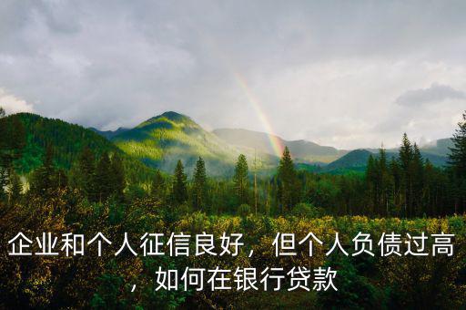 企業(yè)和個(gè)人征信良好，但個(gè)人負(fù)債過高，如何在銀行貸款