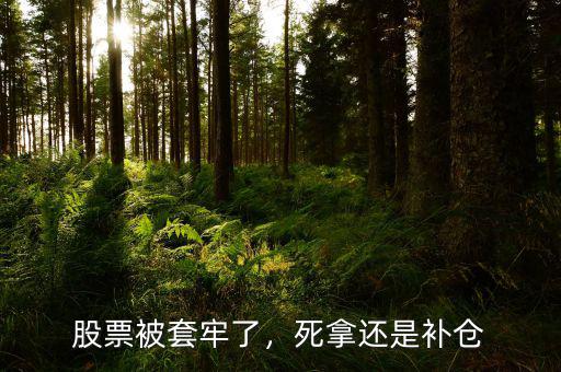 股票被套牢了，死拿還是補(bǔ)倉