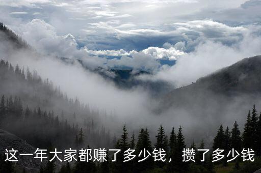 這一年大家都賺了多少錢，攢了多少錢