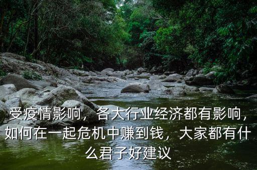 受疫情影響，各大行業(yè)經(jīng)濟(jì)都有影響，如何在一起危機(jī)中賺到錢(qián)，大家都有什么君子好建議