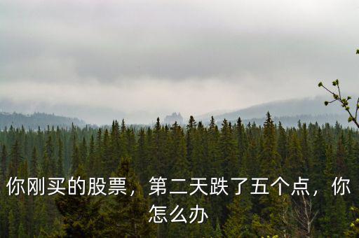 你剛買的股票，第二天跌了五個點，你怎么辦