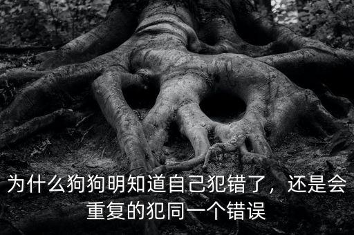 為什么狗狗明知道自己犯錯了，還是會重復(fù)的犯同一個錯誤