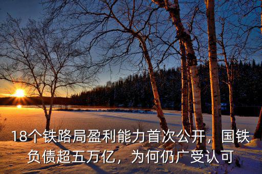 18個(gè)鐵路局盈利能力首次公開(kāi)，國(guó)鐵負(fù)債超五萬(wàn)億，為何仍廣受認(rèn)可