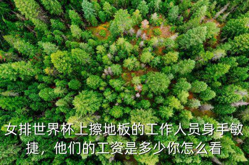 女排世界杯上擦地板的工作人員身手敏捷，他們的工資是多少你怎么看