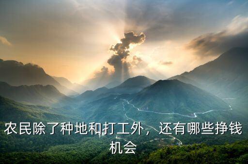 農(nóng)民除了種地和打工外，還有哪些掙錢機會