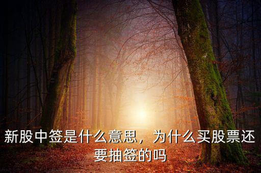 新股中簽是什么意思，為什么買股票還要抽簽的嗎