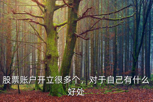 股票賬戶開立很多個，對于自己有什么好處