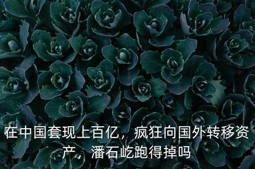 在中國(guó)套現(xiàn)上百億，瘋狂向國(guó)外轉(zhuǎn)移資產(chǎn)，潘石屹跑得掉嗎