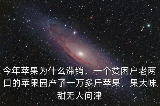 今年蘋果為什么滯銷，一個貧困戶老兩口的蘋果園產(chǎn)了一萬多斤蘋果，果大味甜無人問津