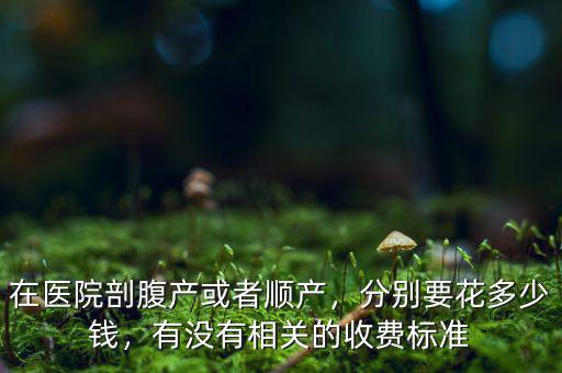 在醫(yī)院剖腹產(chǎn)或者順產(chǎn)，分別要花多少錢，有沒有相關(guān)的收費標準
