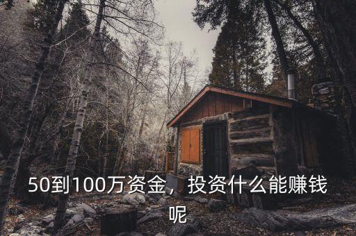 50到100萬資金，投資什么能賺錢呢